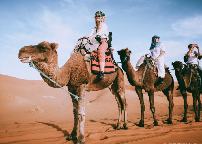 Sahara-desert-morocco-Merzouga-camel15-scaled-1